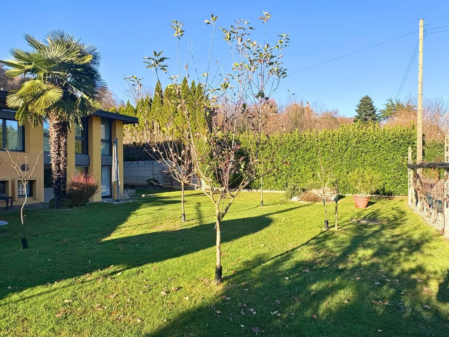 A Jewel in the Green - Photo 13 of 13