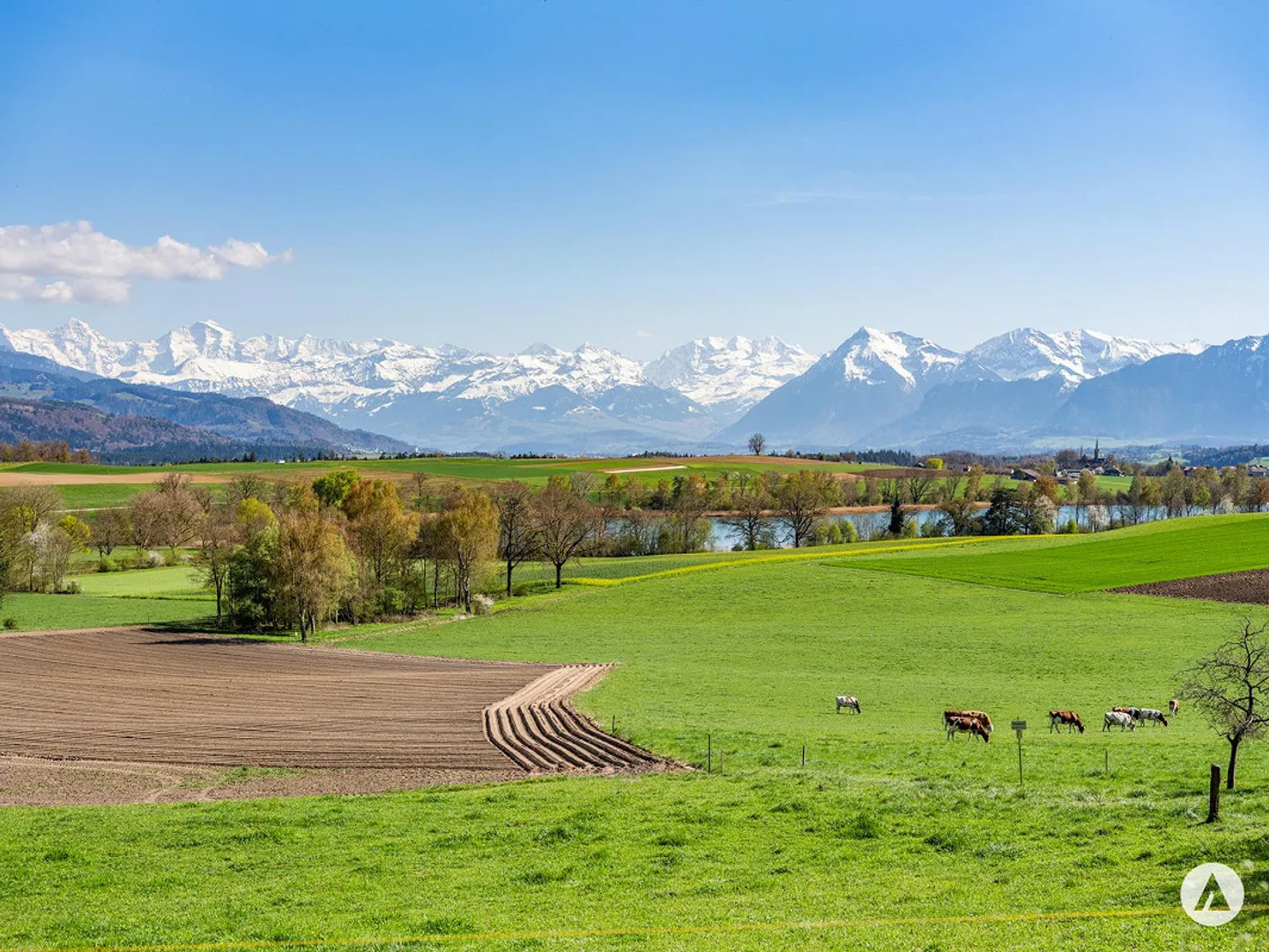 Vivere regolarmente: Villa di campagna con lotto edificabile - Foto 4 di 13