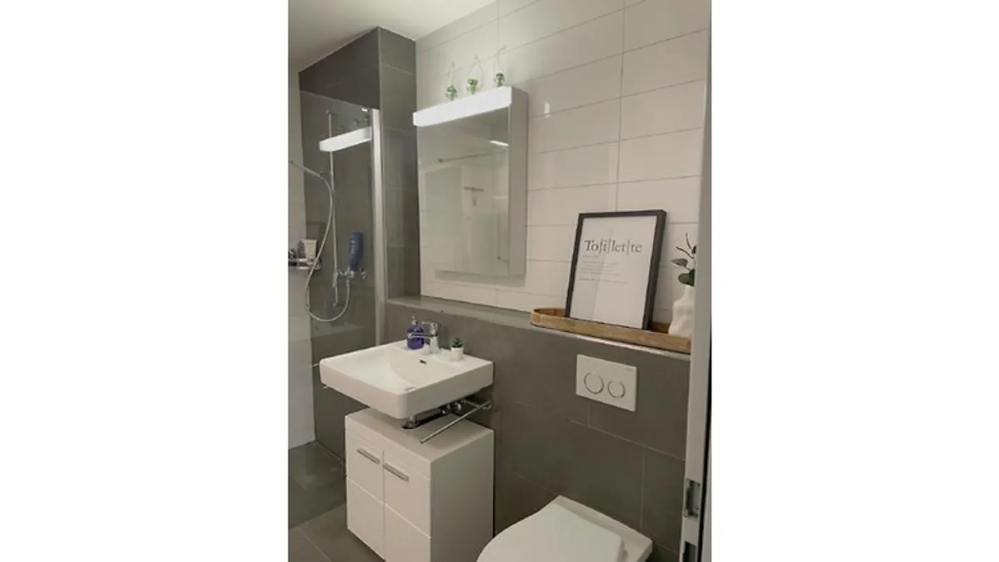 2½ ROOM APARTMENT IN SISSELN (AG), FURNISHED, TEMPORARY - Photo 4 of 6