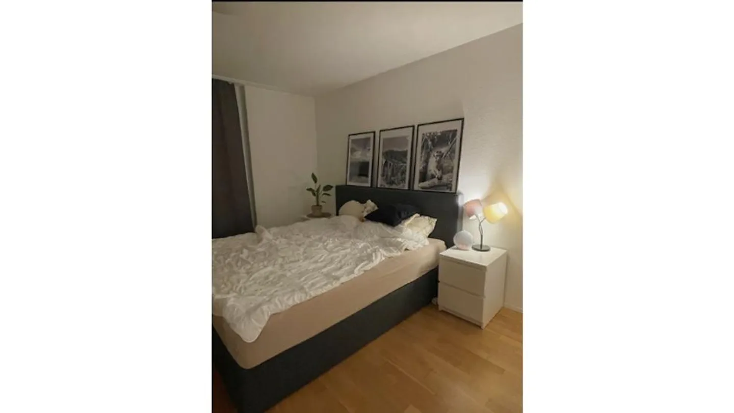 2½ ROOM APARTMENT IN SISSELN (AG), FURNISHED, TEMPORARY - Photo 5 of 6