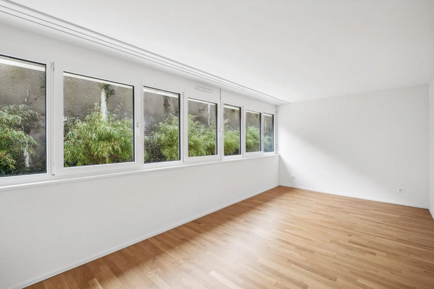 3.5 Room Apartment - Photo 5 of 8