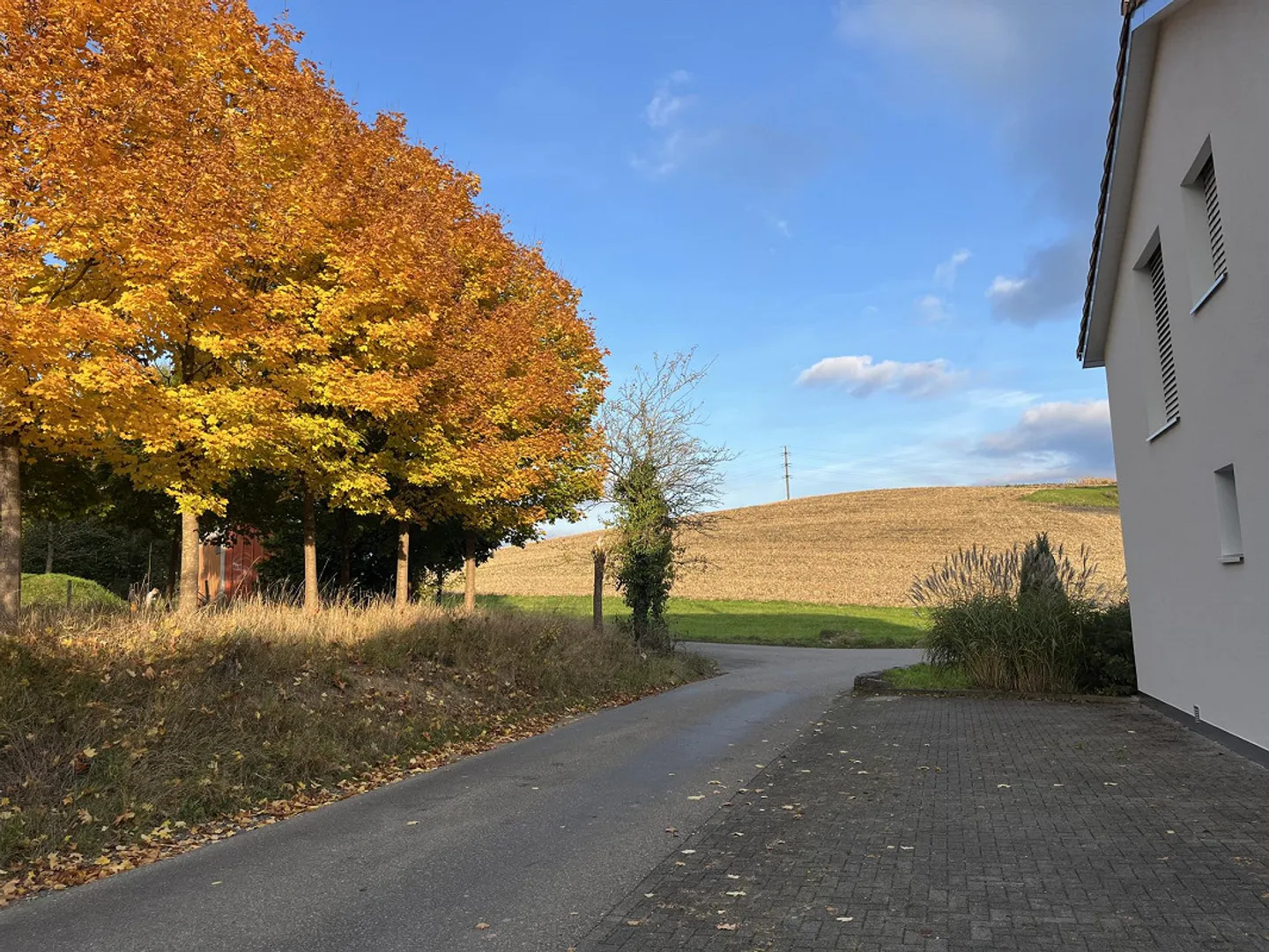 Exklusives 6.5-Zimmer-Haus mit Einliegerwohnung und Panoramaweitsicht - Foto 11 von 30