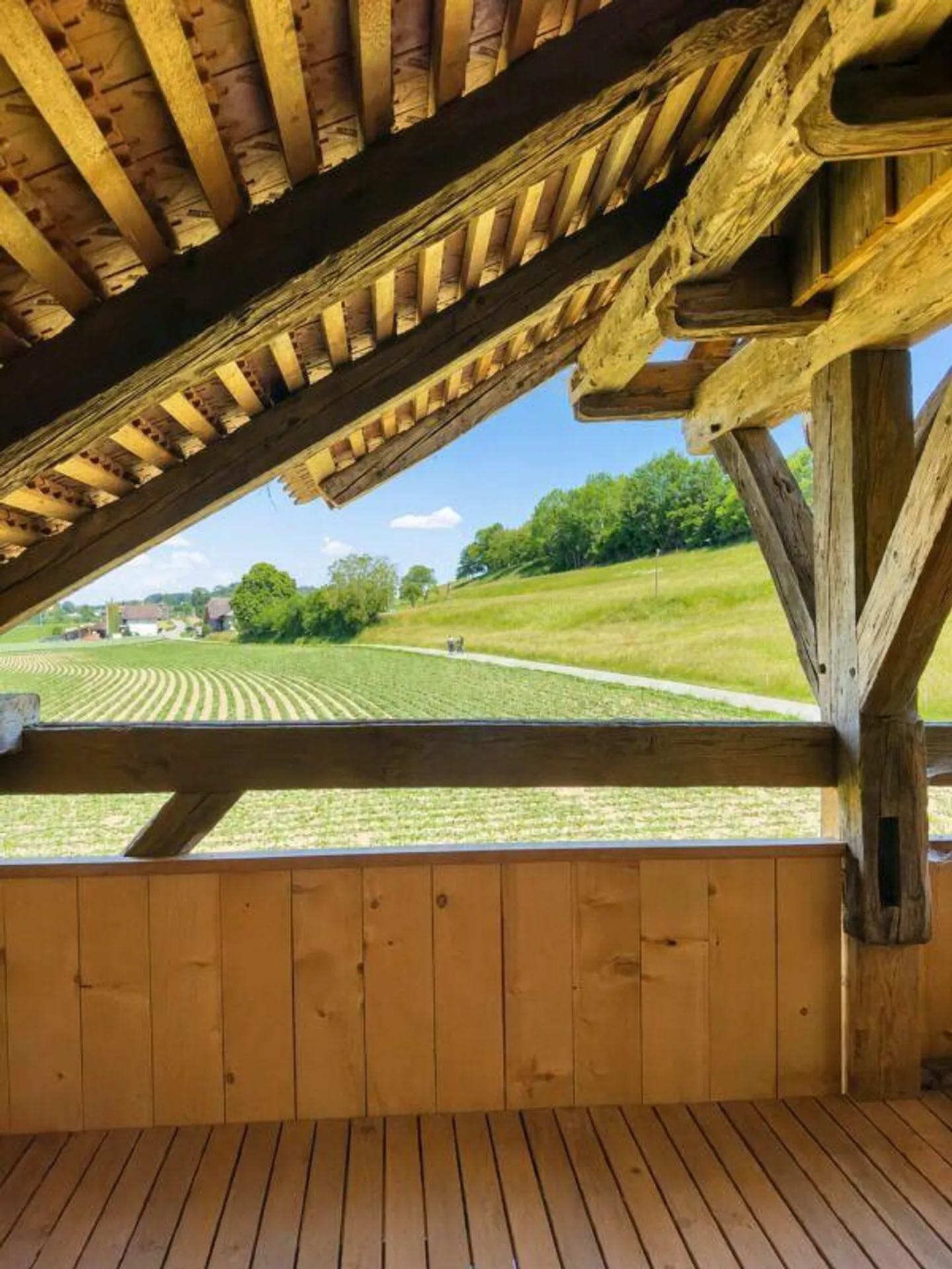 Moderno appartamento duplex di 2,5 stanze con qualità abitativa unica, loggia accogliente, posto auto e varie comodità nel parco del castello - Foto 16 di 30