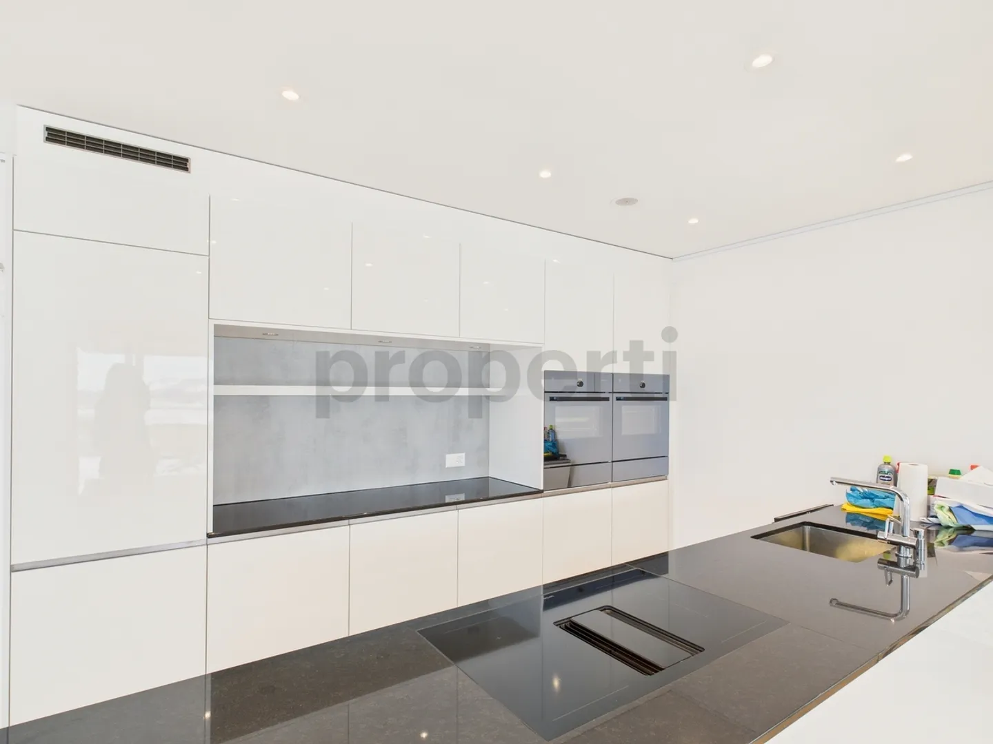 Modern 2.5-room apartment with large terrace in Waldegg near Uitikon - Photo 4 of 13