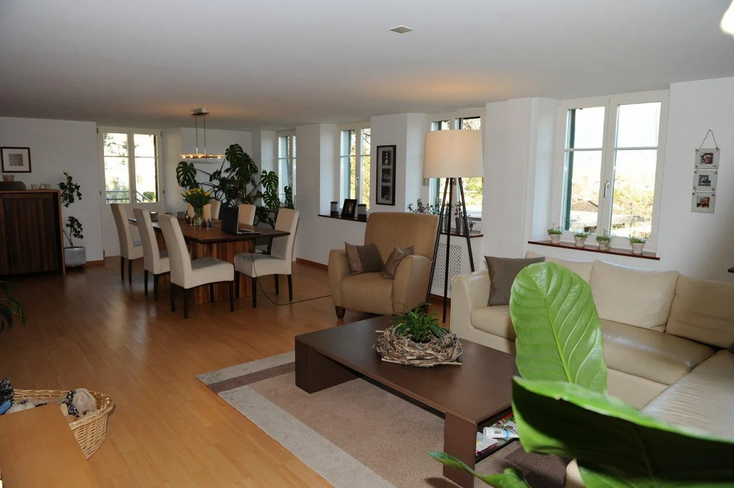 Exclusive 4.5-room apartment on the raised ground floor - Photo 10 of 13