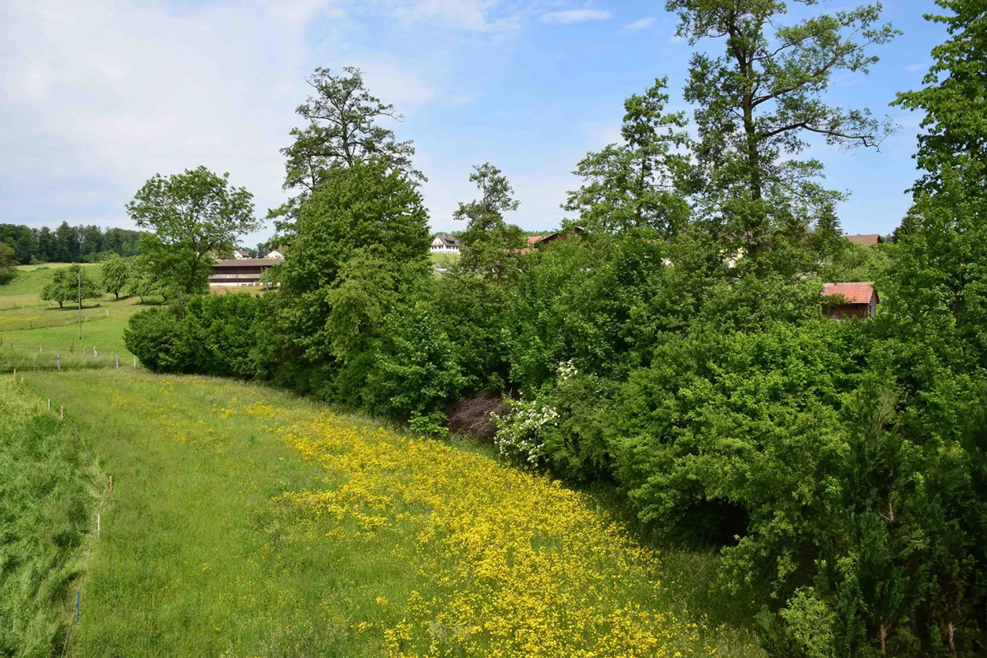 ruhig gelegene 3 1/2 Zi Wohnung mit Weitblick ins Grüne - Foto 2 von 7
