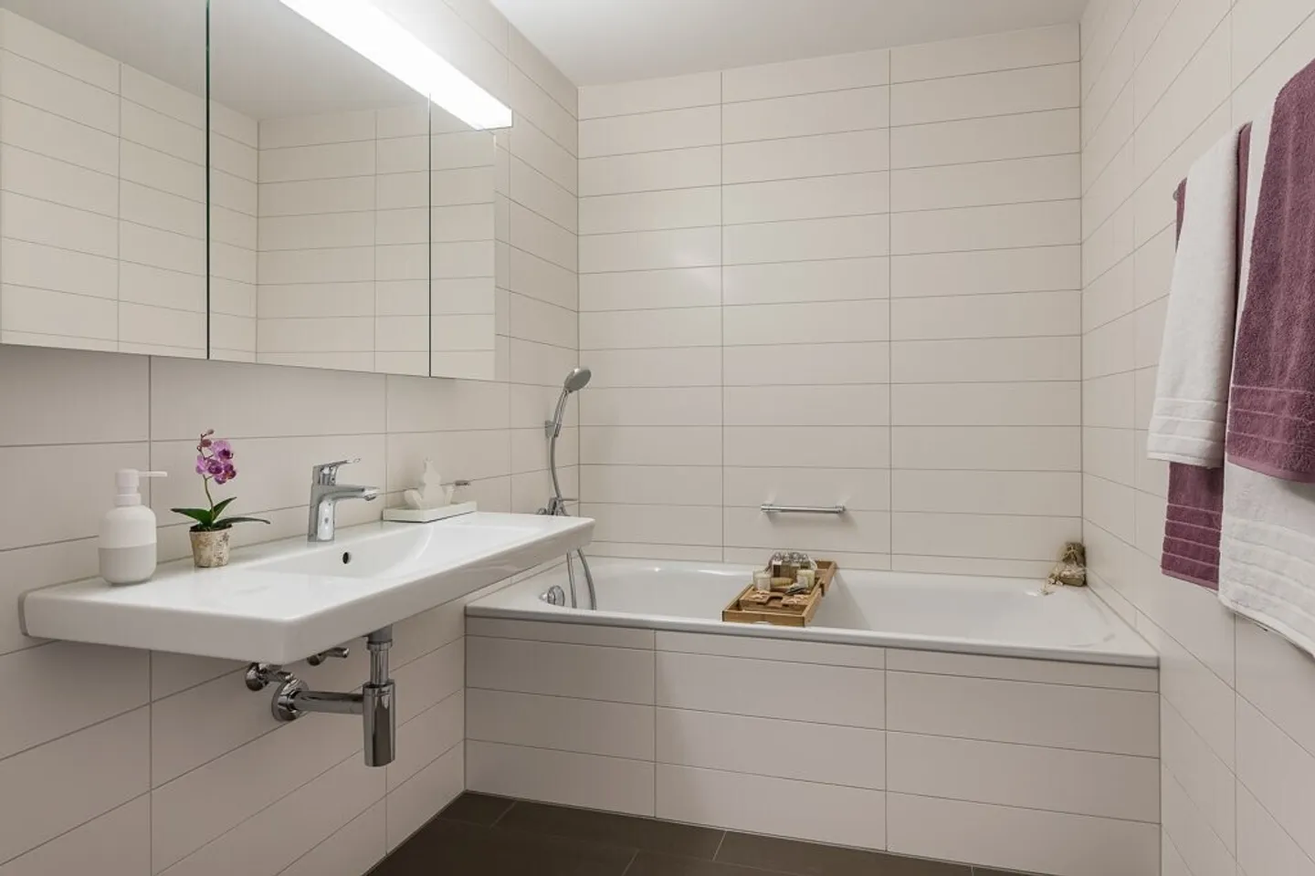 Appartement de rêve cherche résidents - Photo 6 sur 8