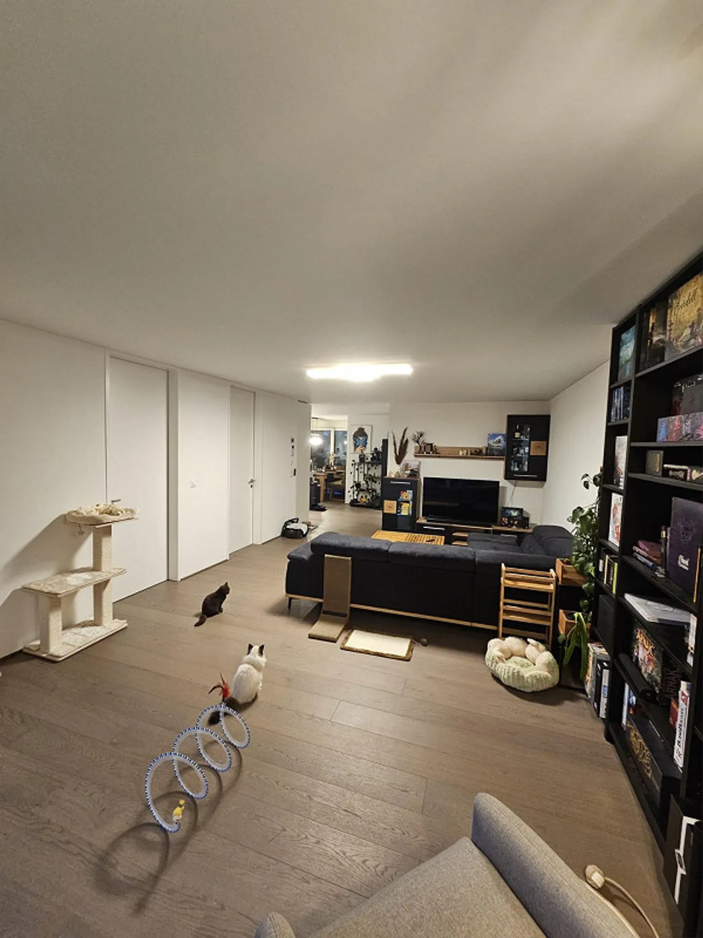 Moderne 4.5-Zimmer-Wohnung mit zwei Balkonen in attraktiver Überbauun - Foto 7 von 13
