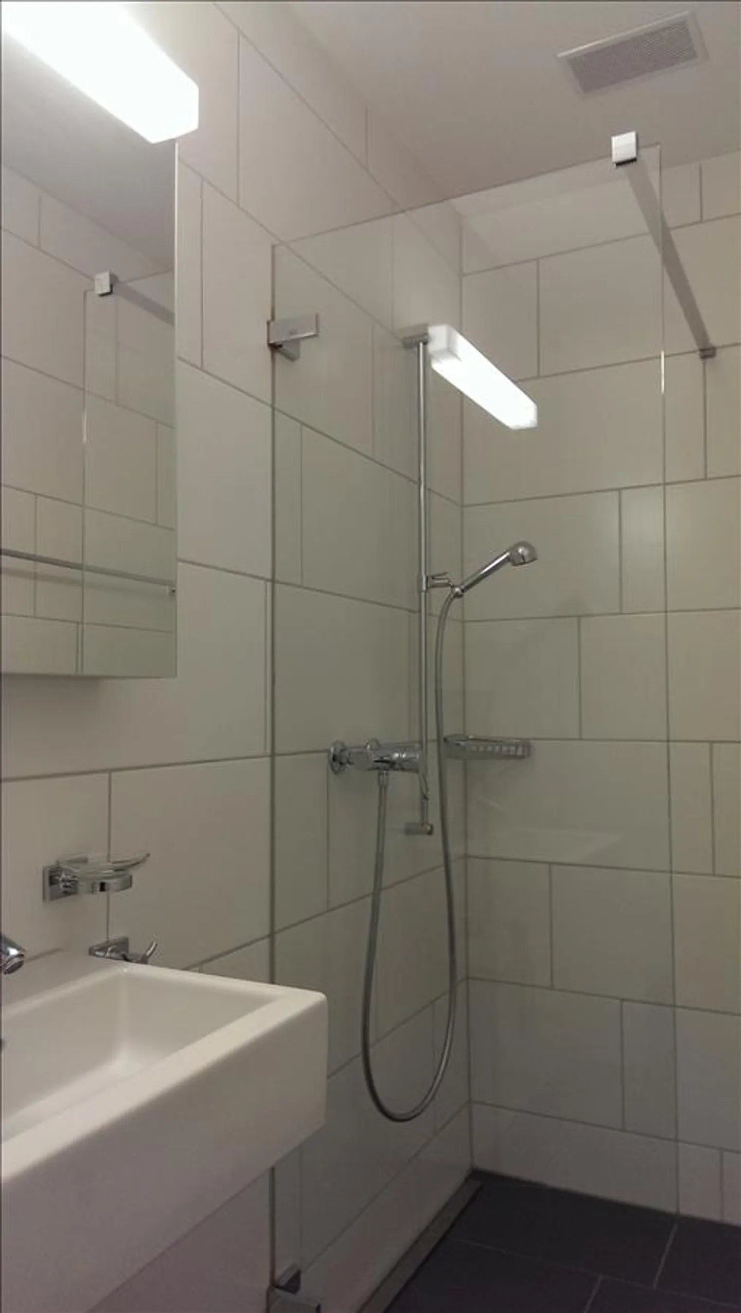 Appartamento 4.5 stanze - Foto 5 di 8