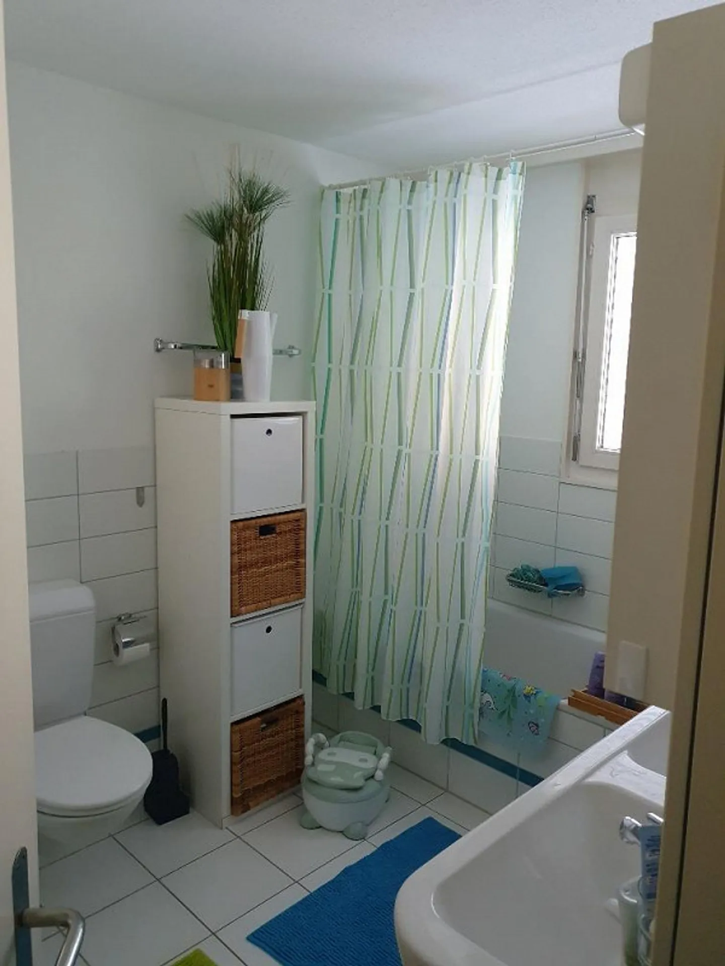3.5 Room Apartment - Photo 6 of 8