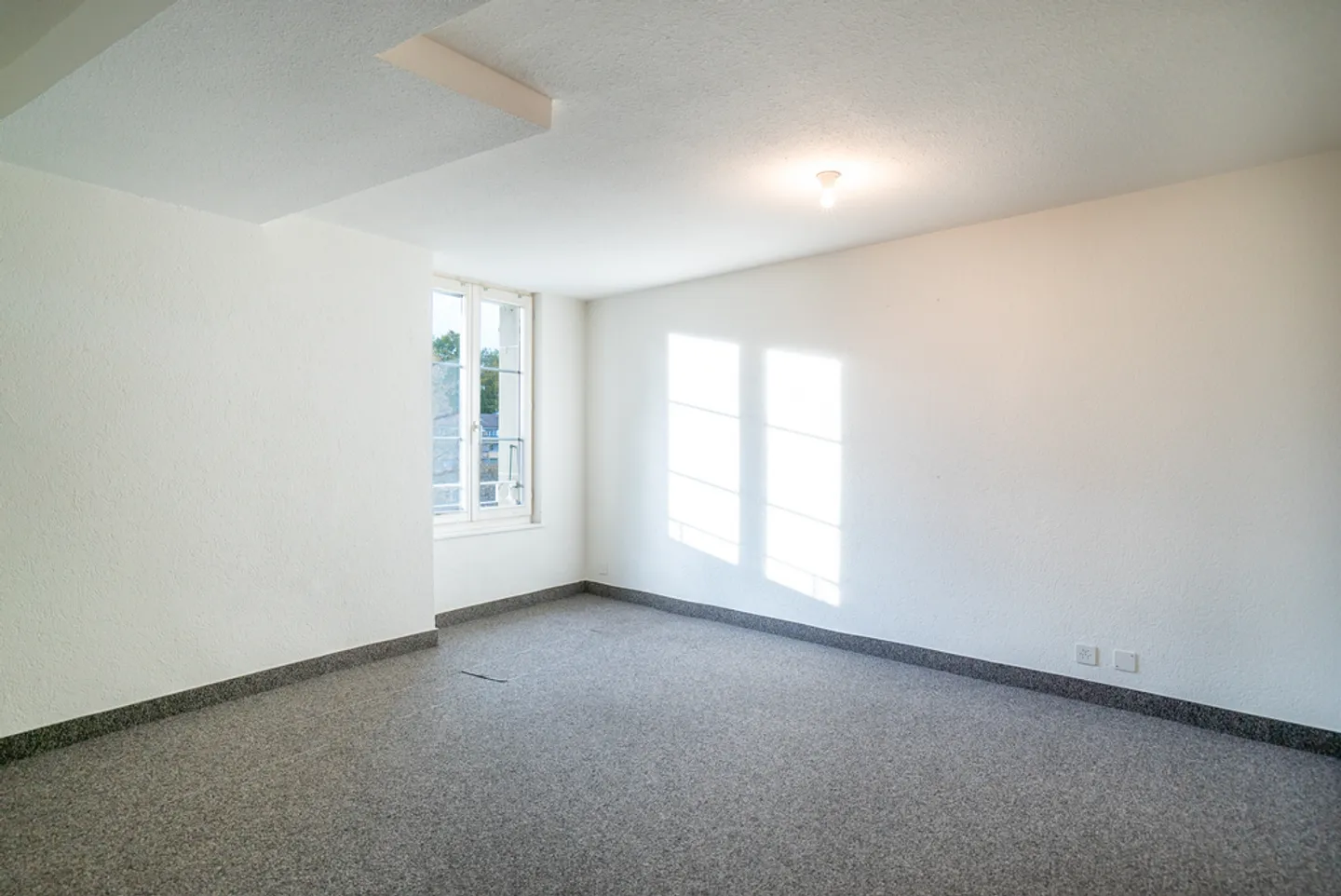 Spacious Commercial Space in Lausanne - Photo 4 of 11