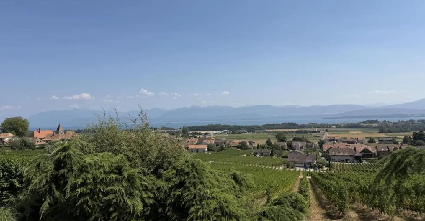 Wunderschöne Villa mit Panoramablick in Bursins - Foto 1 von 1