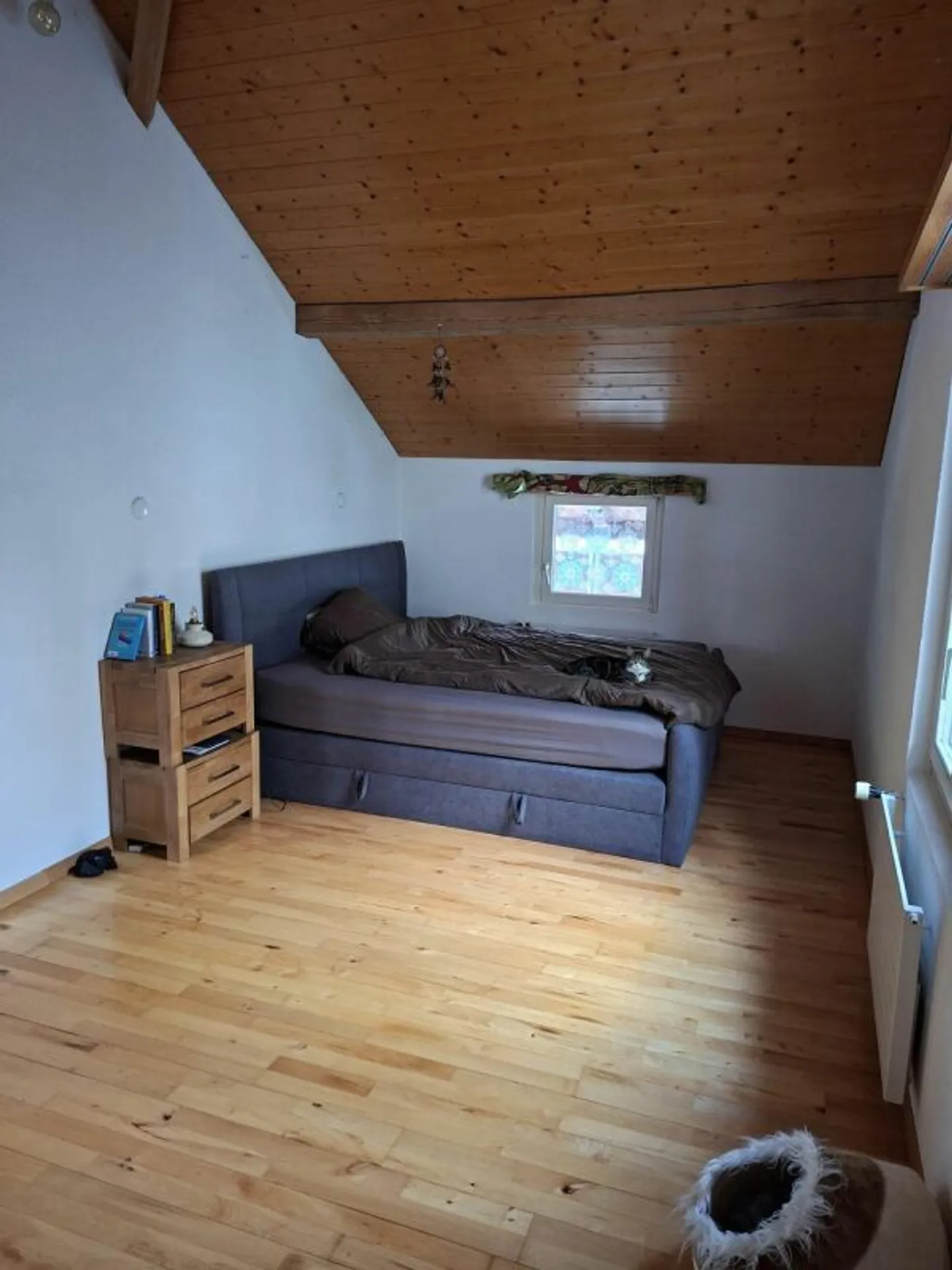 Casa unifamiliare accogliente con grande giardino - Foto 13 di 18