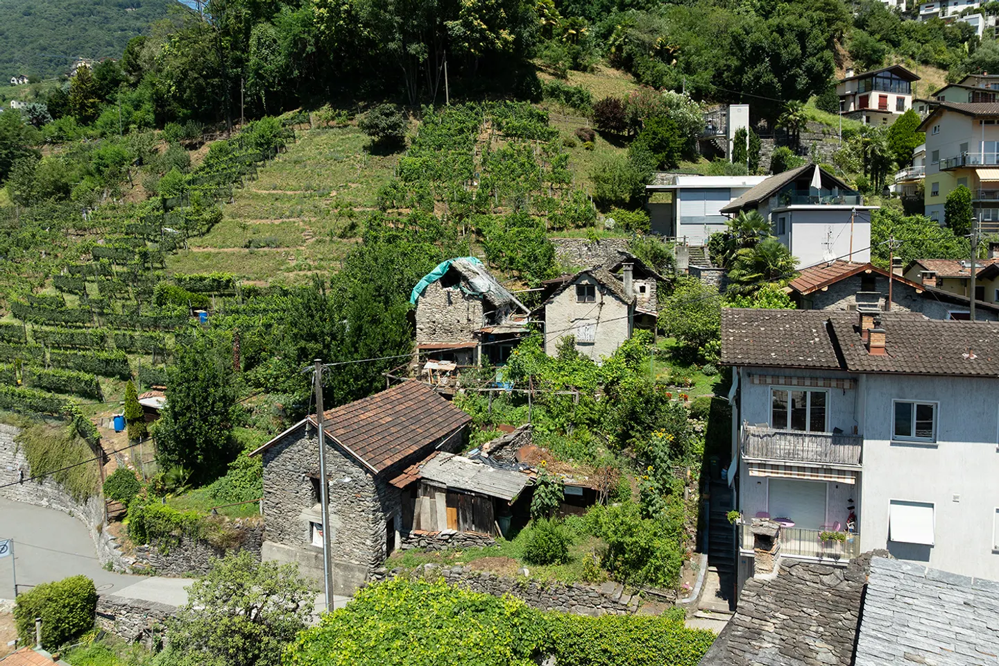 Terrain à bâtir approuvé à Gordola - Photo 3 sur 5