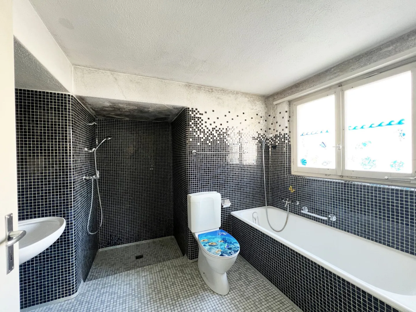 Ex fattoria con fienile, capanno, grande terreno e molto potenziale - Foto 5 di 10