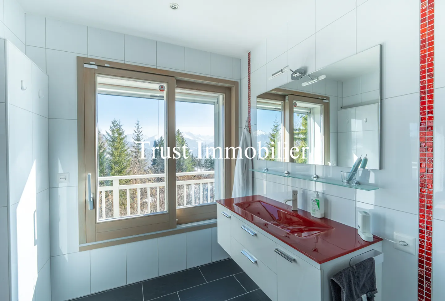 Chalet avec vue sur les Alpes - Photo 17 sur 32