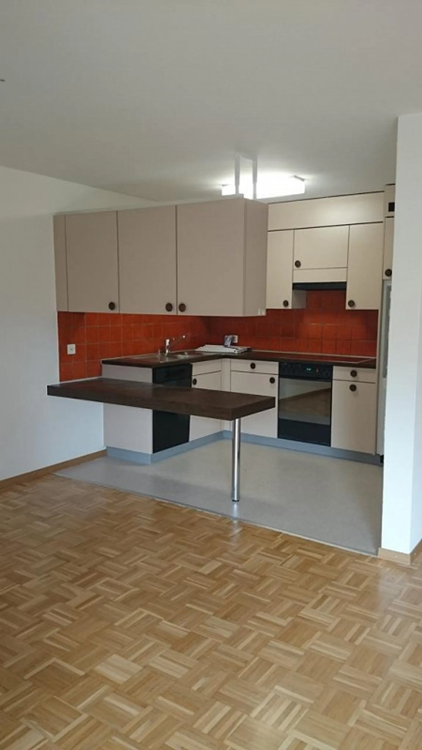 Living on the Sihl! - Photo 2 of 6