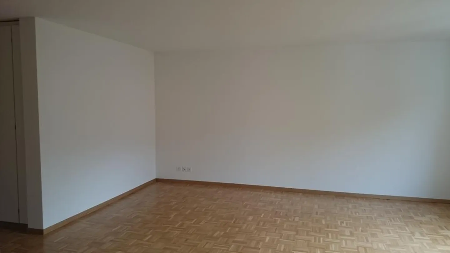 Living on the Sihl! - Photo 5 of 6