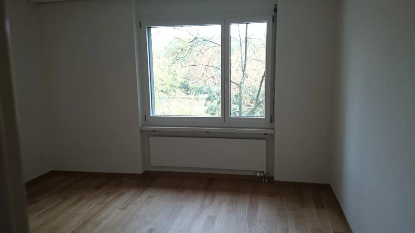 Living on the Sihl! - Photo 6 of 6