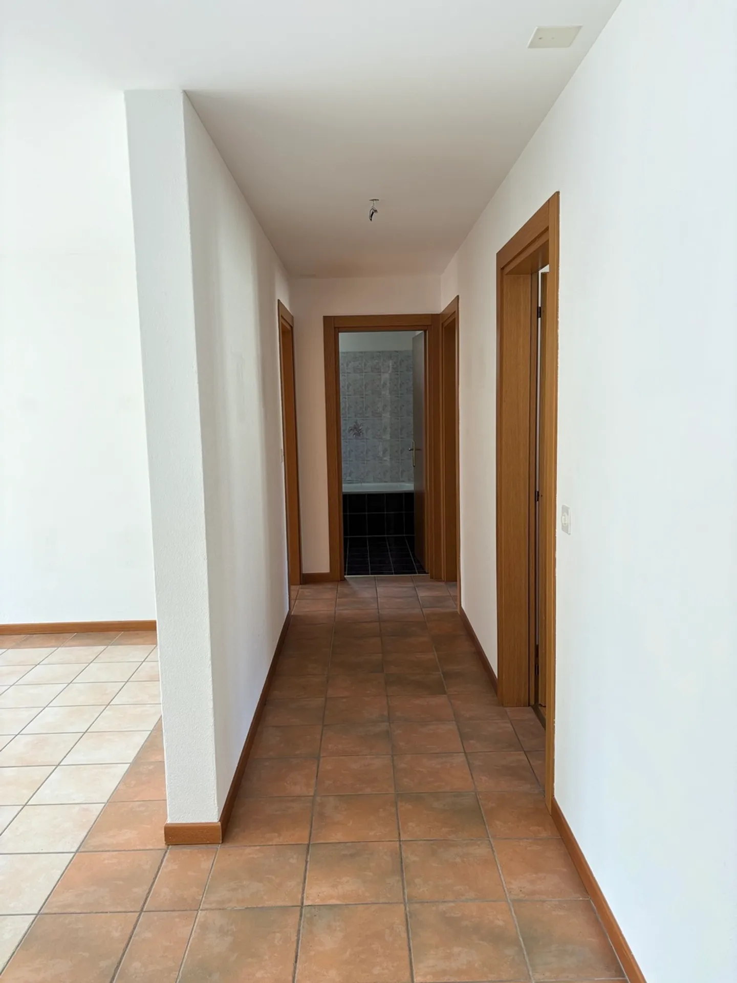 Appartements Charmants à Mesocco - Photo 9 sur 15