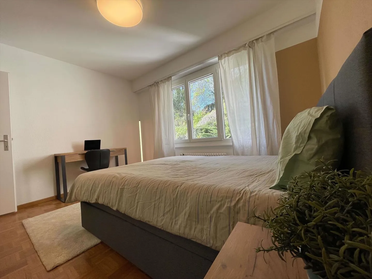 Room 1 - Photo 9 of 25