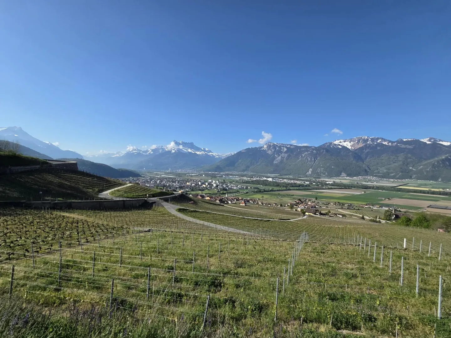 2 Einfamilienhäuser mit Panoramablick in Yvorne - Foto 1 von 3