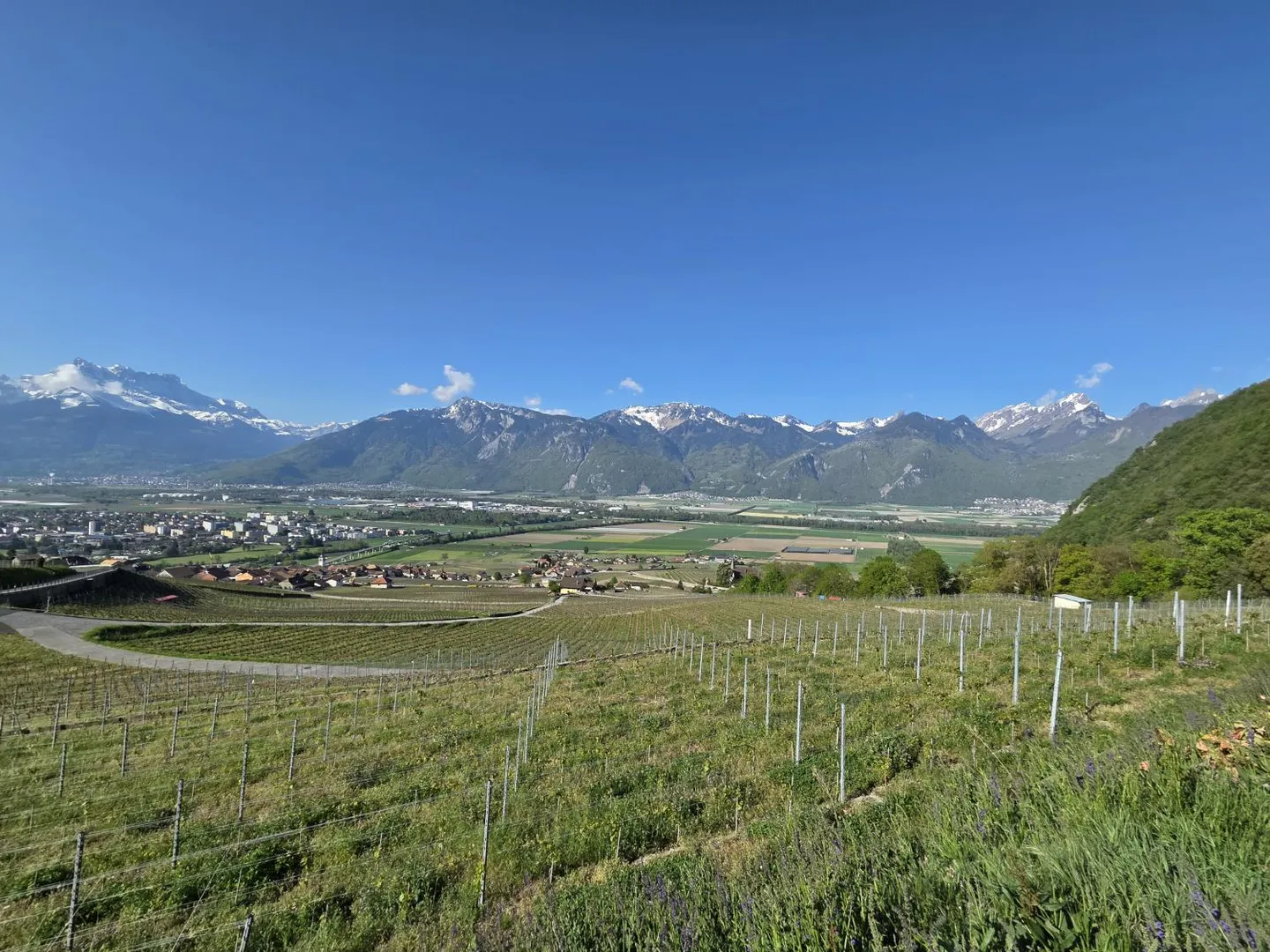 2 Einfamilienhäuser mit Panoramablick in Yvorne - Foto 2 von 3