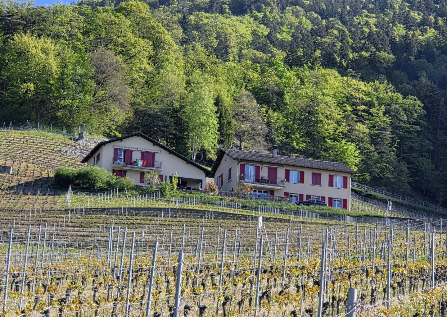 2 Einfamilienhäuser mit Panoramablick in Yvorne - Foto 3 von 3