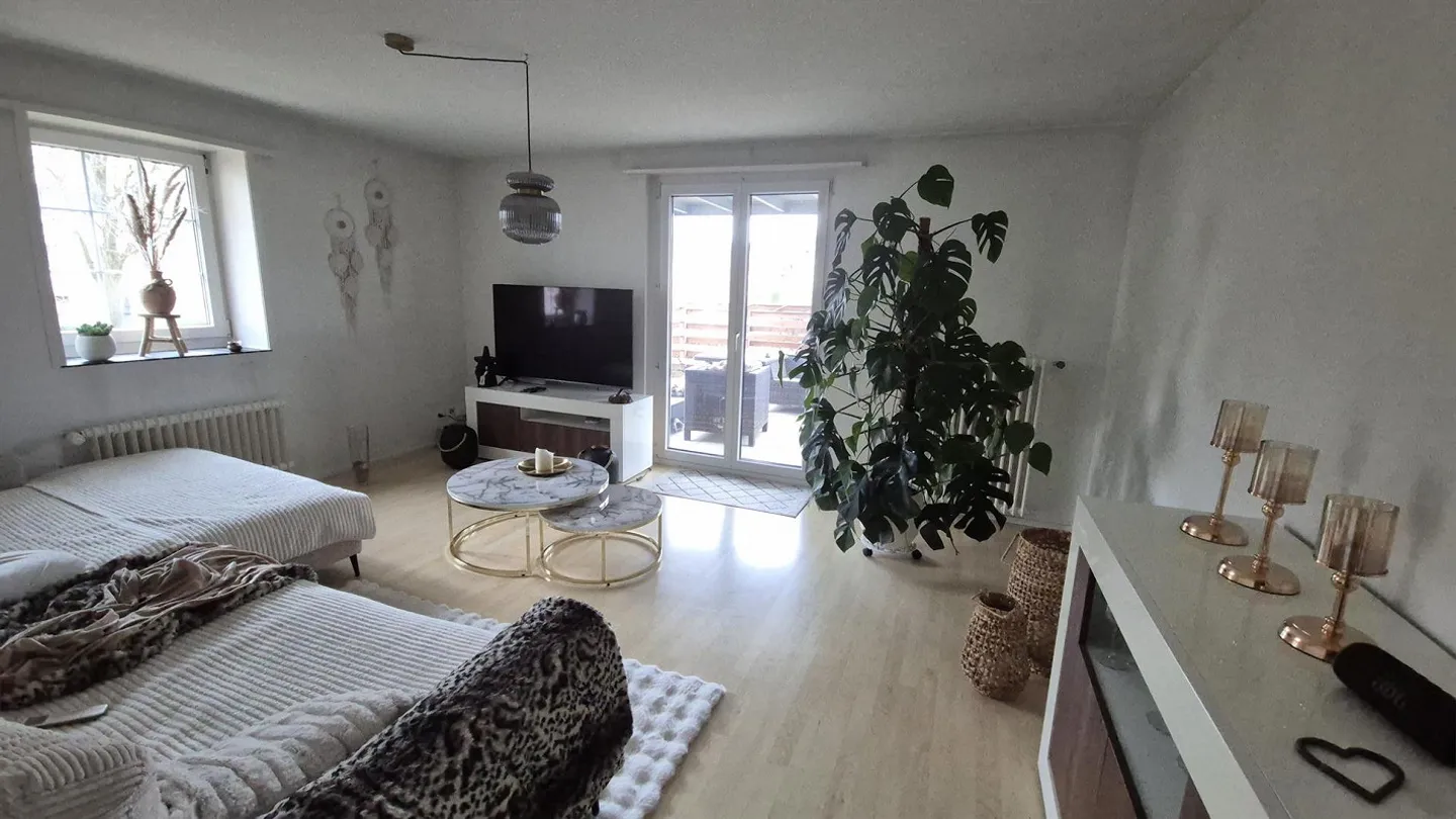 Appartamento con giardino 4.5 stanze a Frauenfeld - Foto 4 di 8