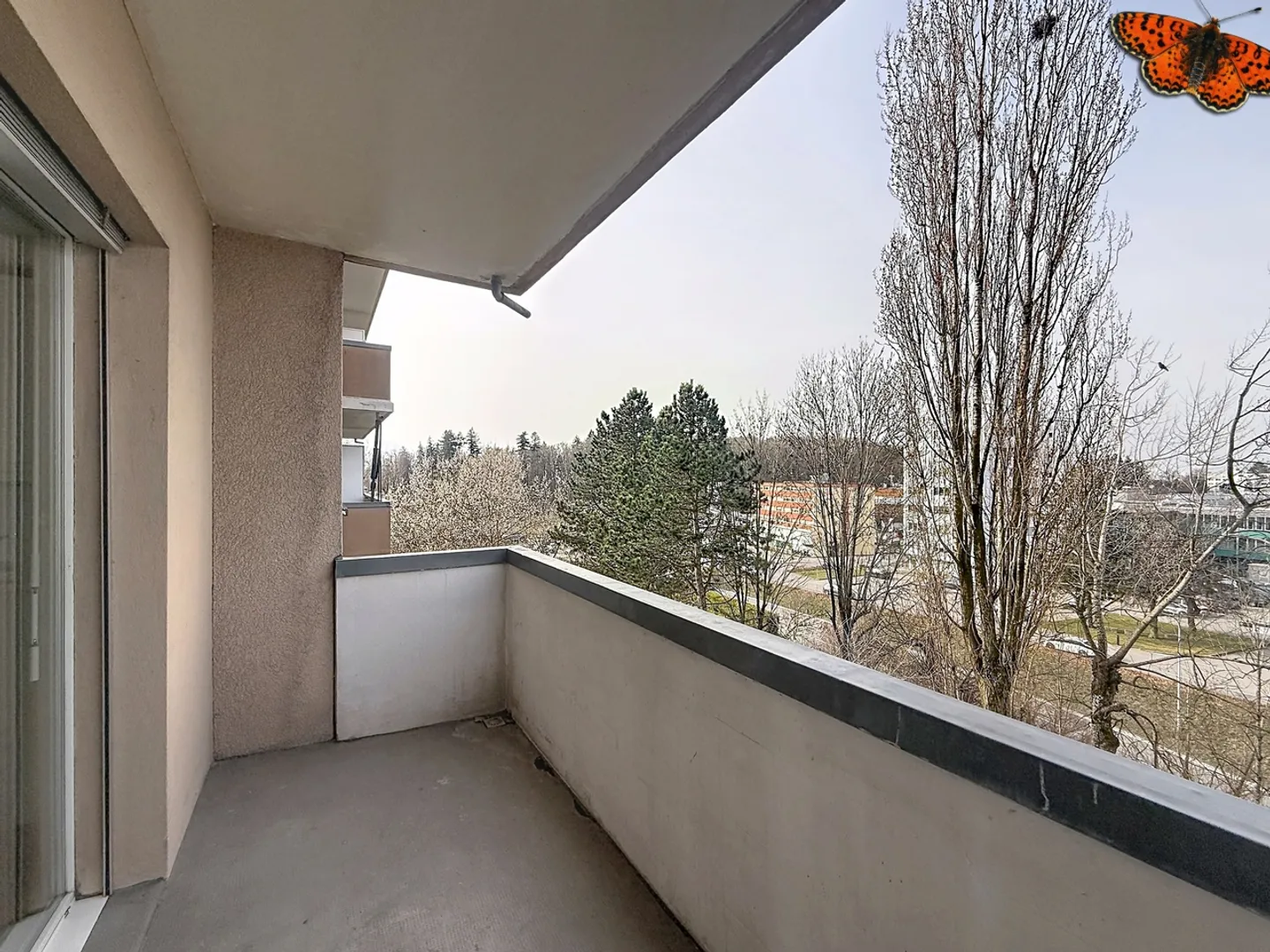 1½ STANZE - Con un balcone - Foto 4 di 6
