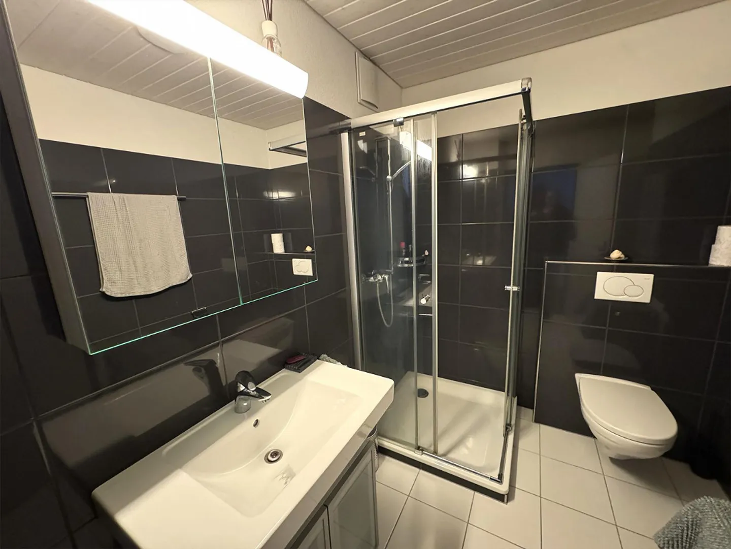 Ottimo attico di 2,5 stanze con grande terrazza - Foto 8 di 8