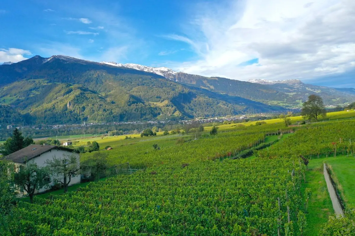 Terreno edificabile unico a Maienfeld - Foto 9 di 13