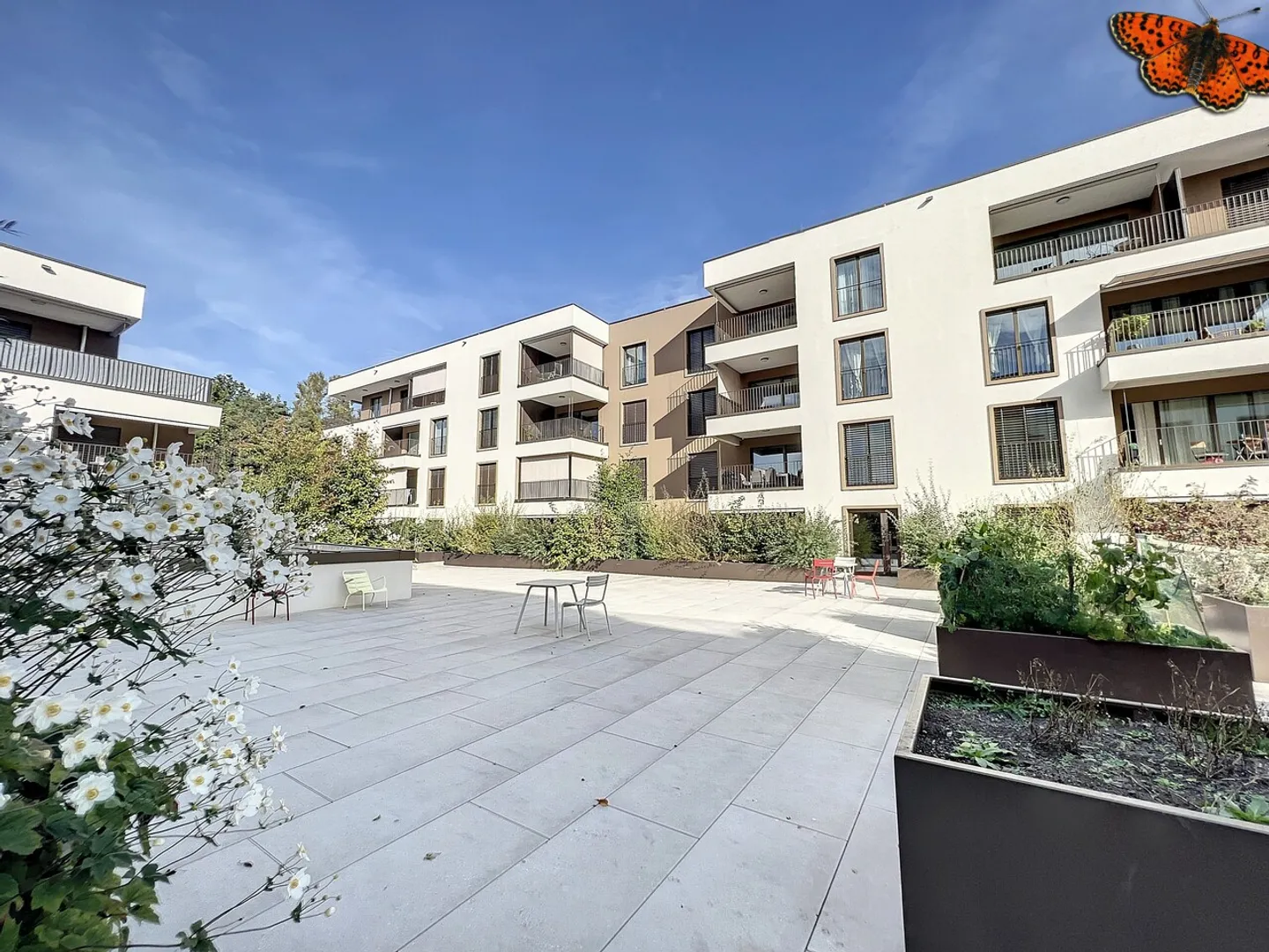 2½ ZIMMER - Neu mit einer Terrasse! - Foto 1 von 14