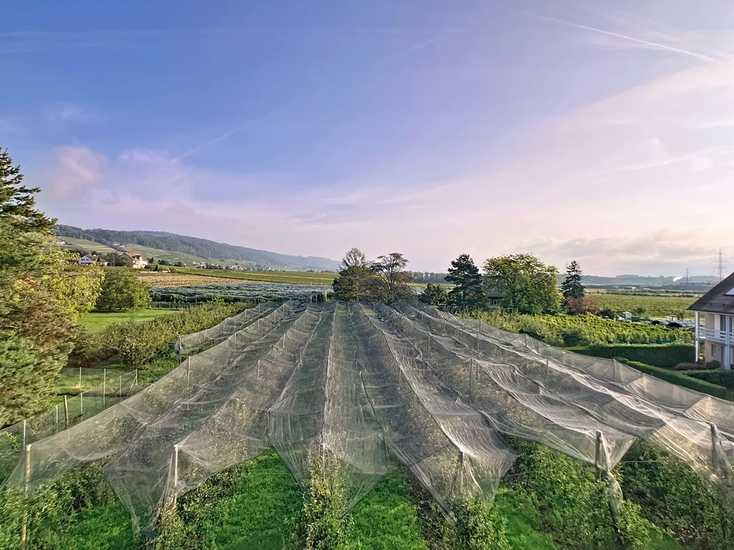 Appartement 3.5 pièces - Photo 11 sur 14