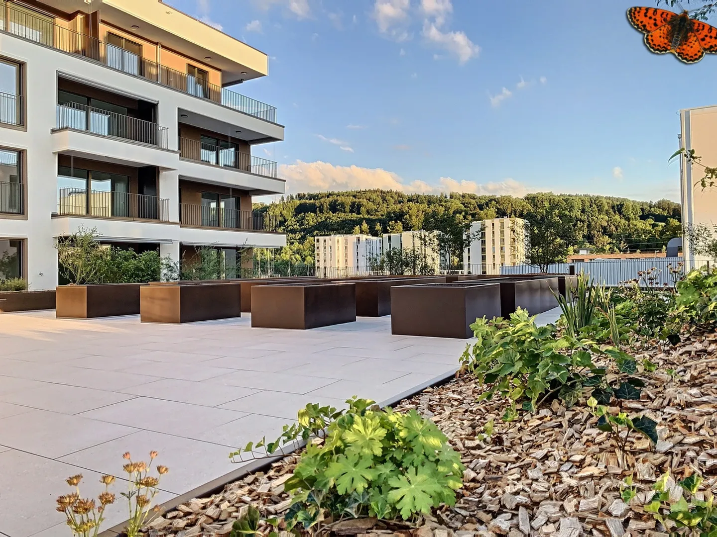 2½ ZIMMER - Neu mit einer Terrasse! - Foto 9 von 14