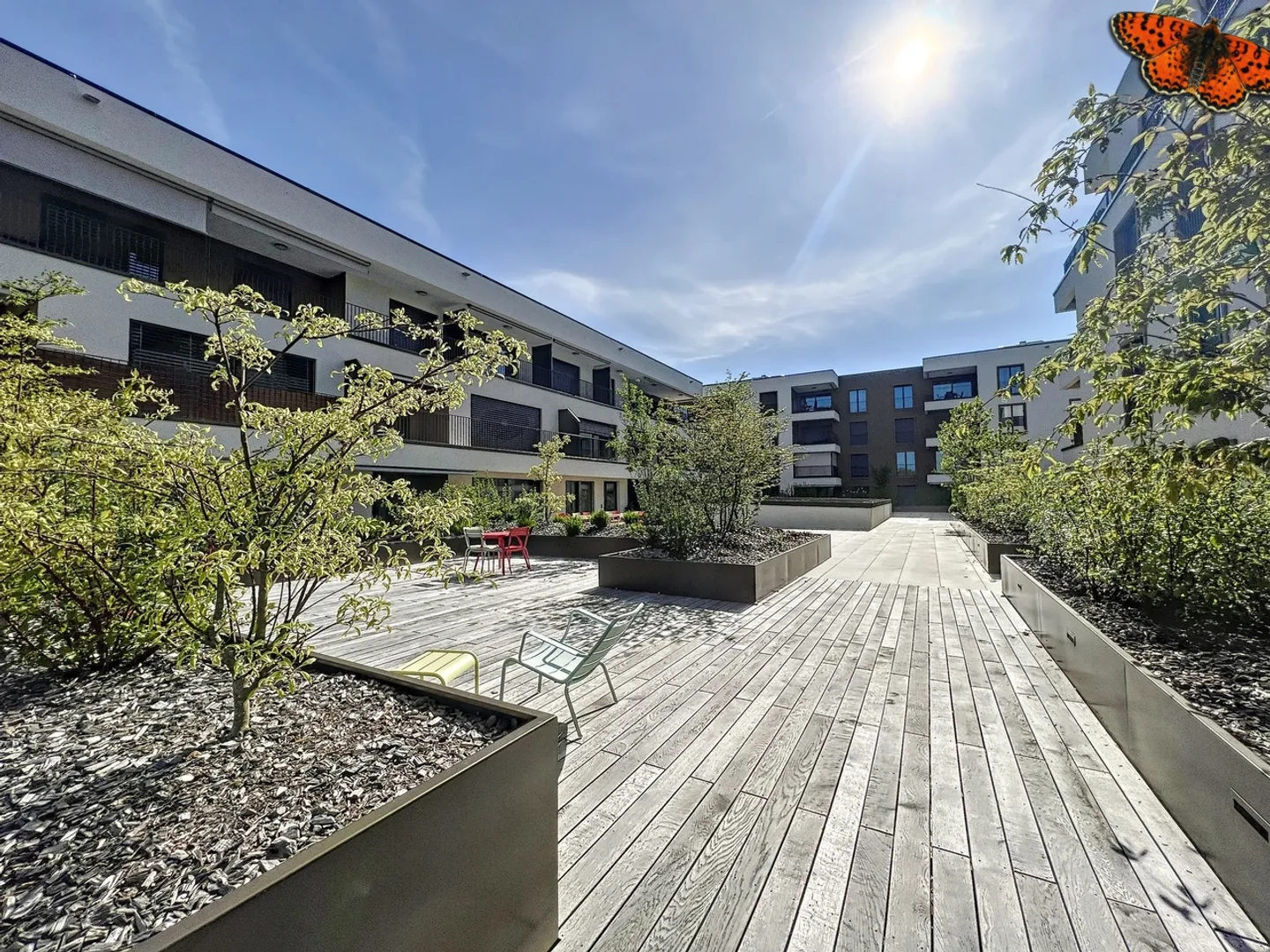 2½ ZIMMER - Neu mit einer Terrasse! - Foto 10 von 14