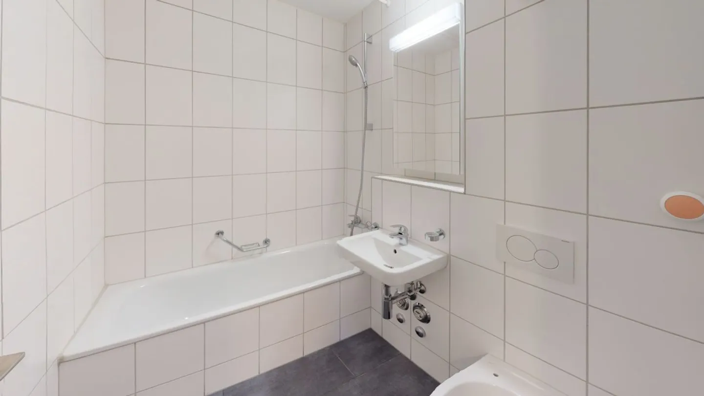 Modern Apartment in Central St. Gallen - Photo 6 of 7