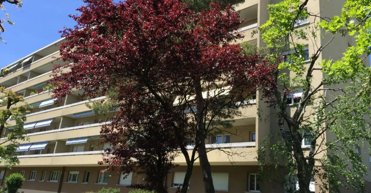 Appartamento di 2 stanze con grande balcone. - Foto 6 di 6