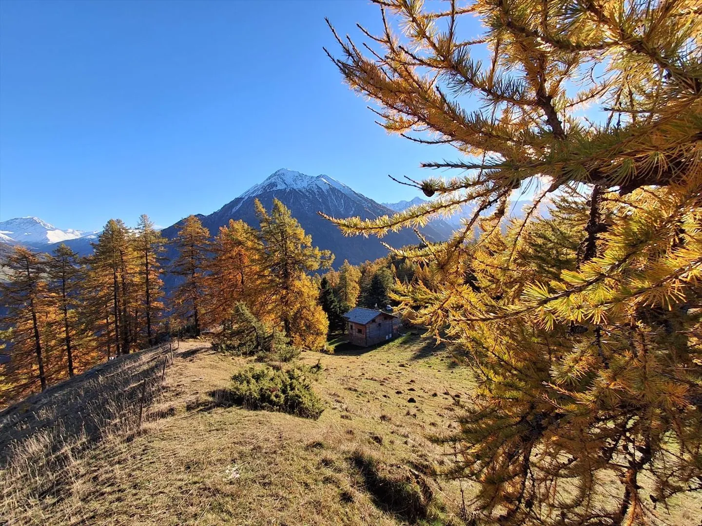 Appartement à louer - Photo 1 sur 13