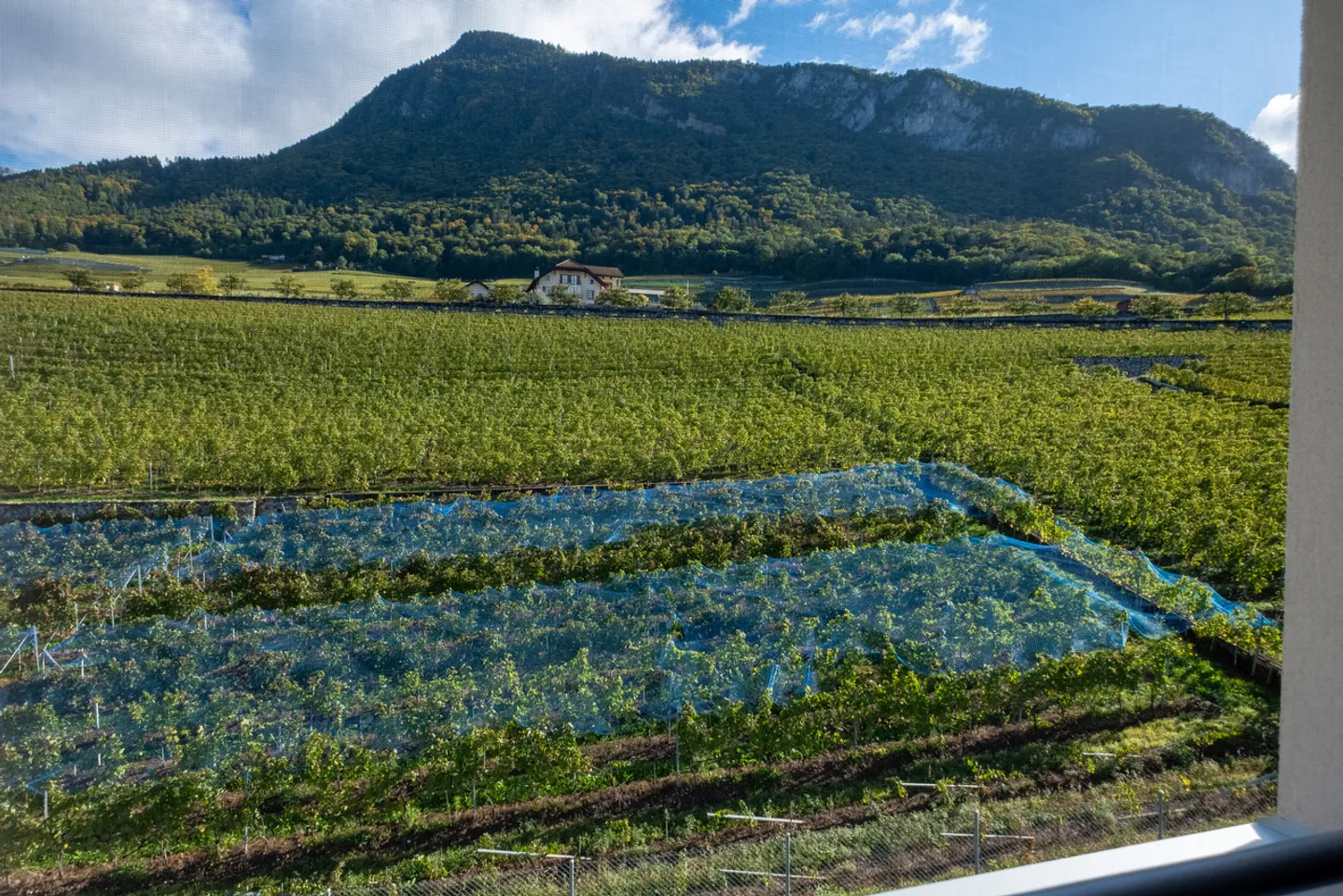 Attico in vendita - Foto 19 di 20