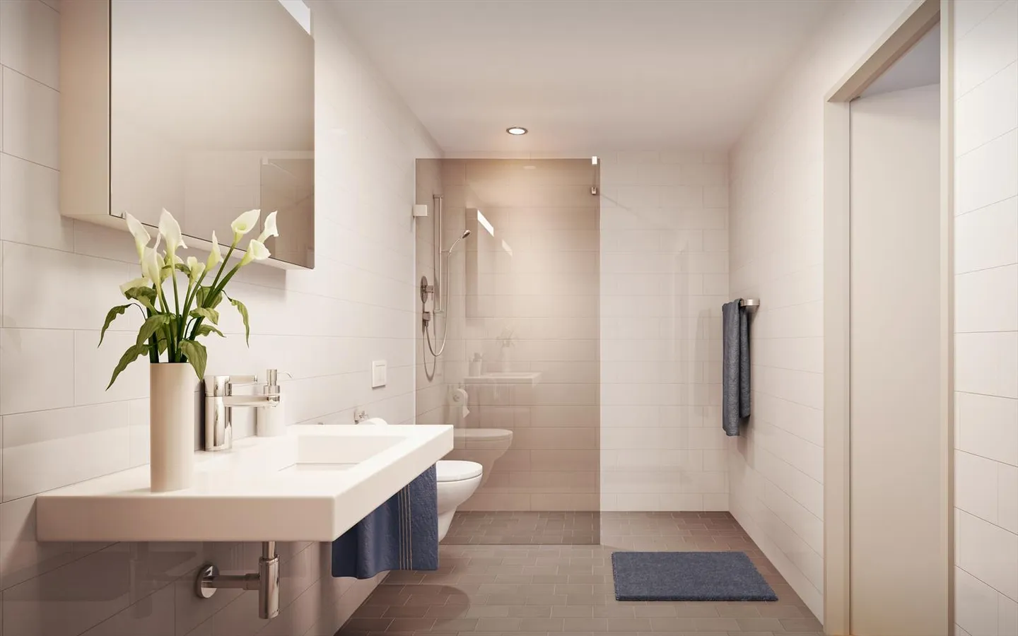 2.5 Room Apartment - Photo 2 of 4