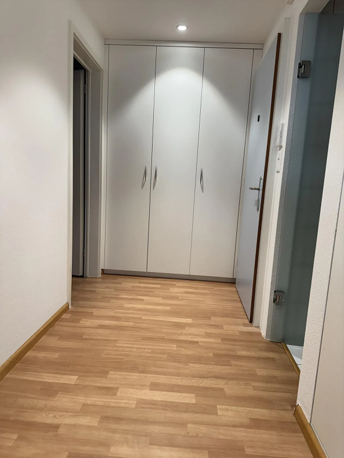 Stylish Apartment in Riehen - Photo 6 of 6