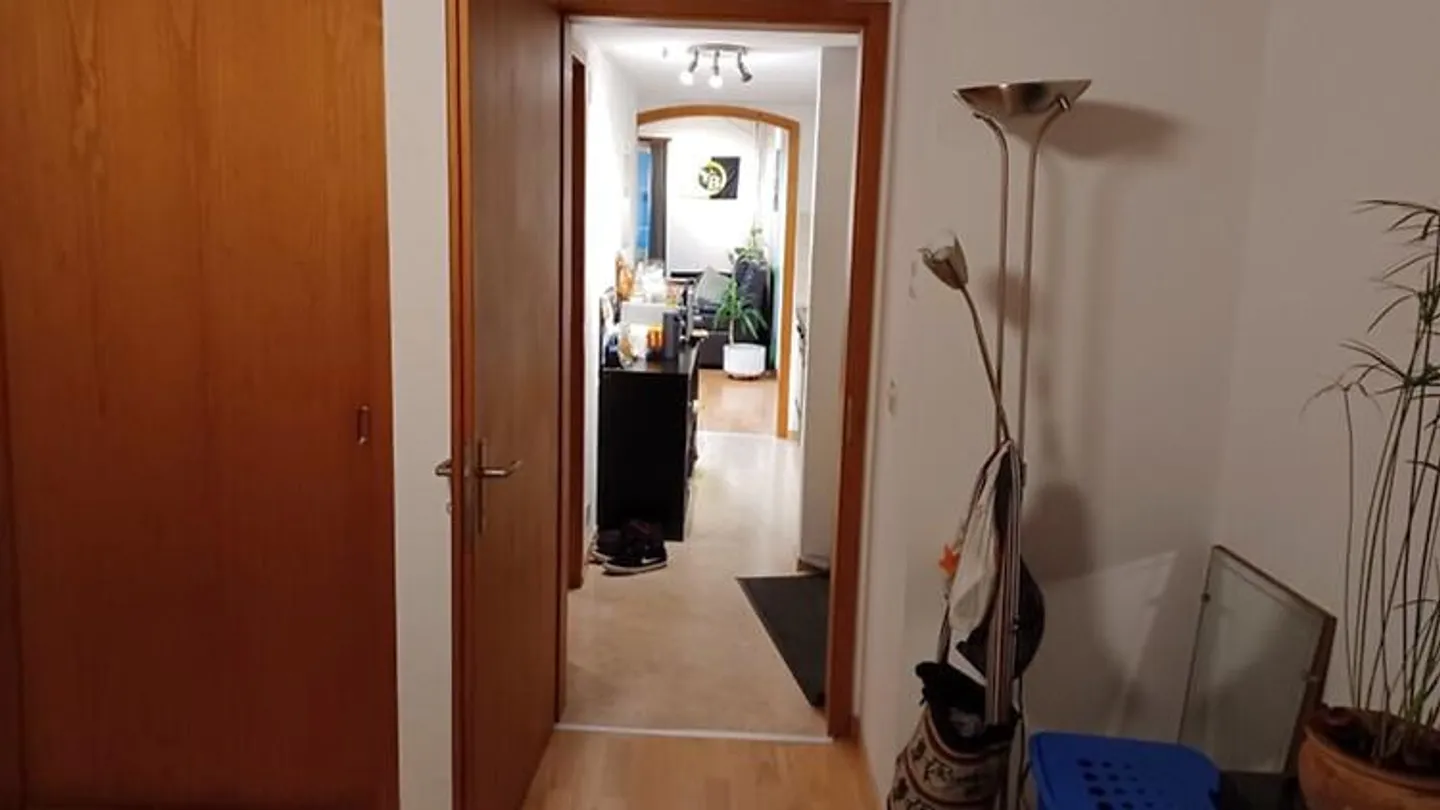 APPARTAMENTO 2 STANZE A BERN - CITTÀ VECCHIA, ARREDATO, TEMPORANEO - Foto 5 di 7