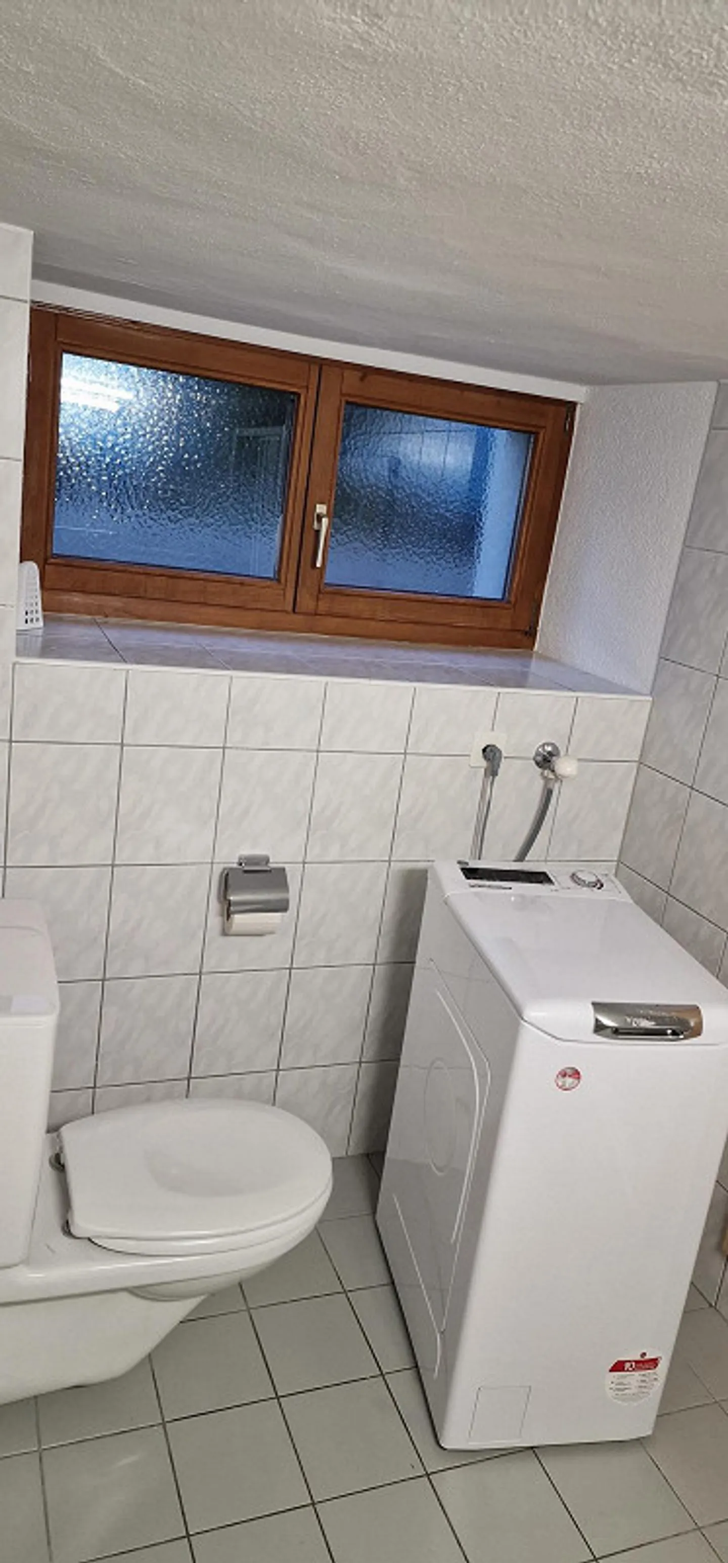 2 Room Apartment Rebstein SG - Photo 6 of 8