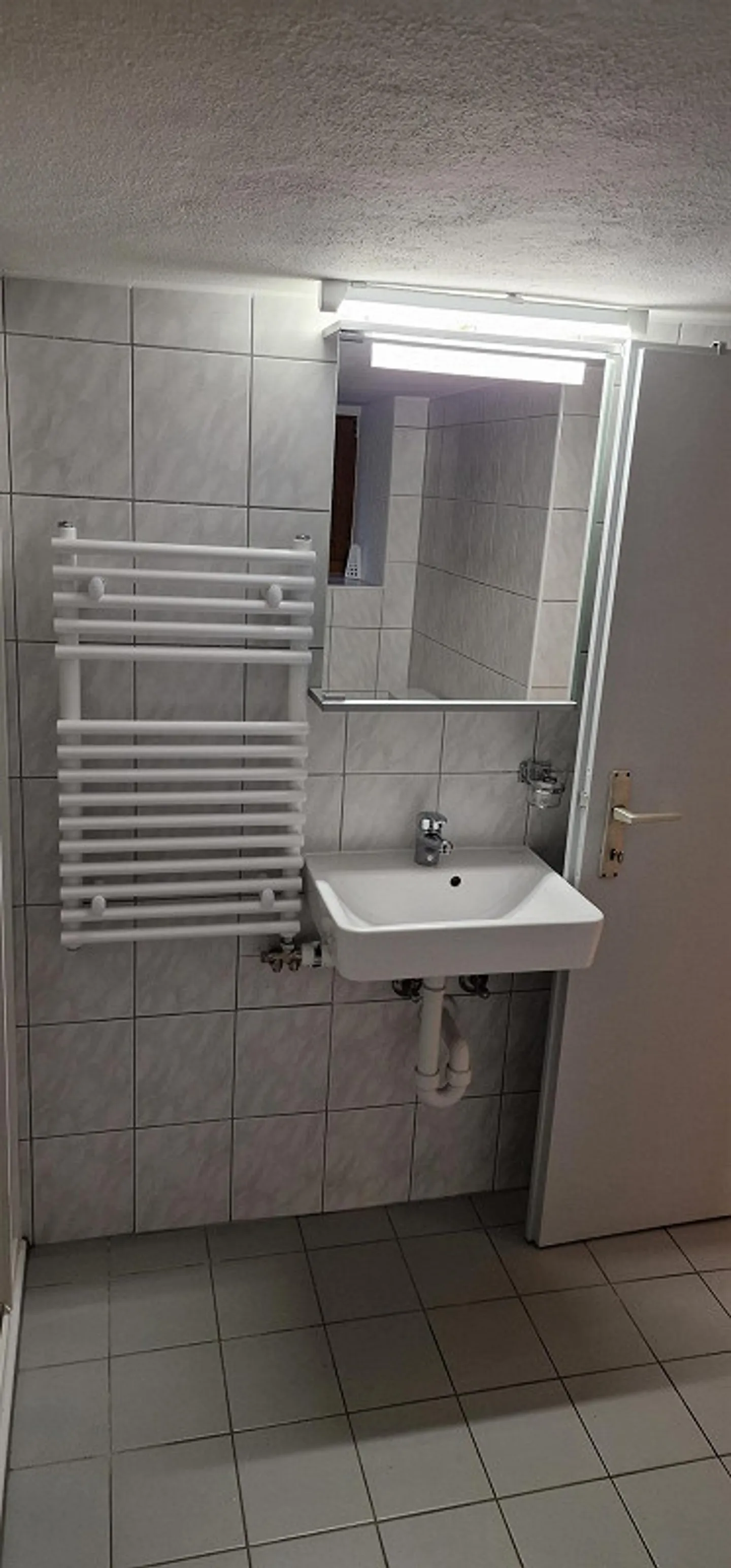 2 Room Apartment Rebstein SG - Photo 7 of 8