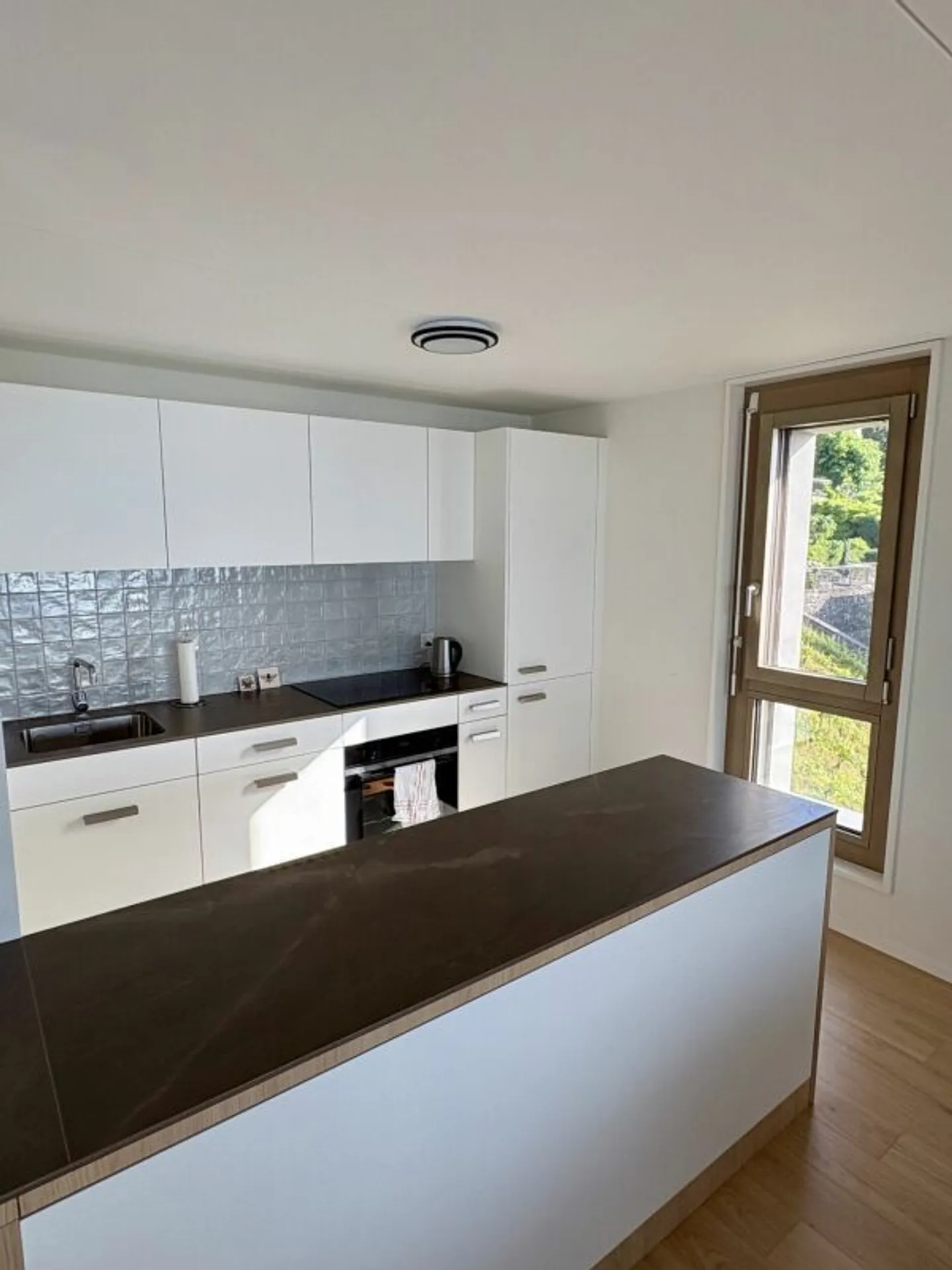 Appartement Magnifique avec Vue sur le Lac - Photo 2 sur 9