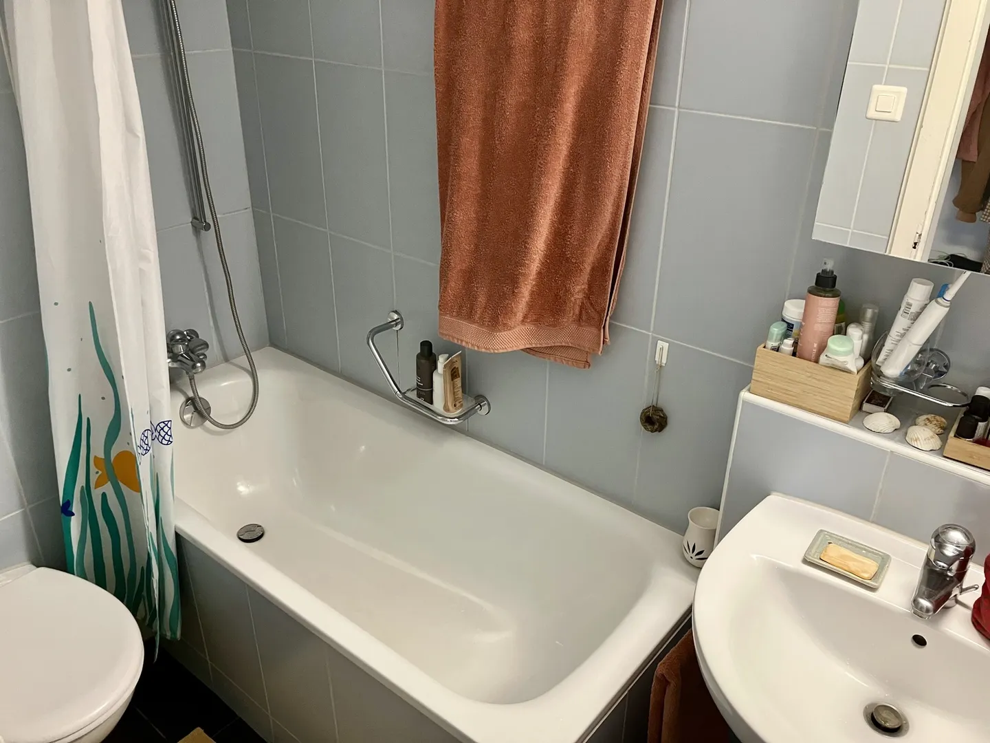 Charming Apartment with Balconies - Photo 7 of 7