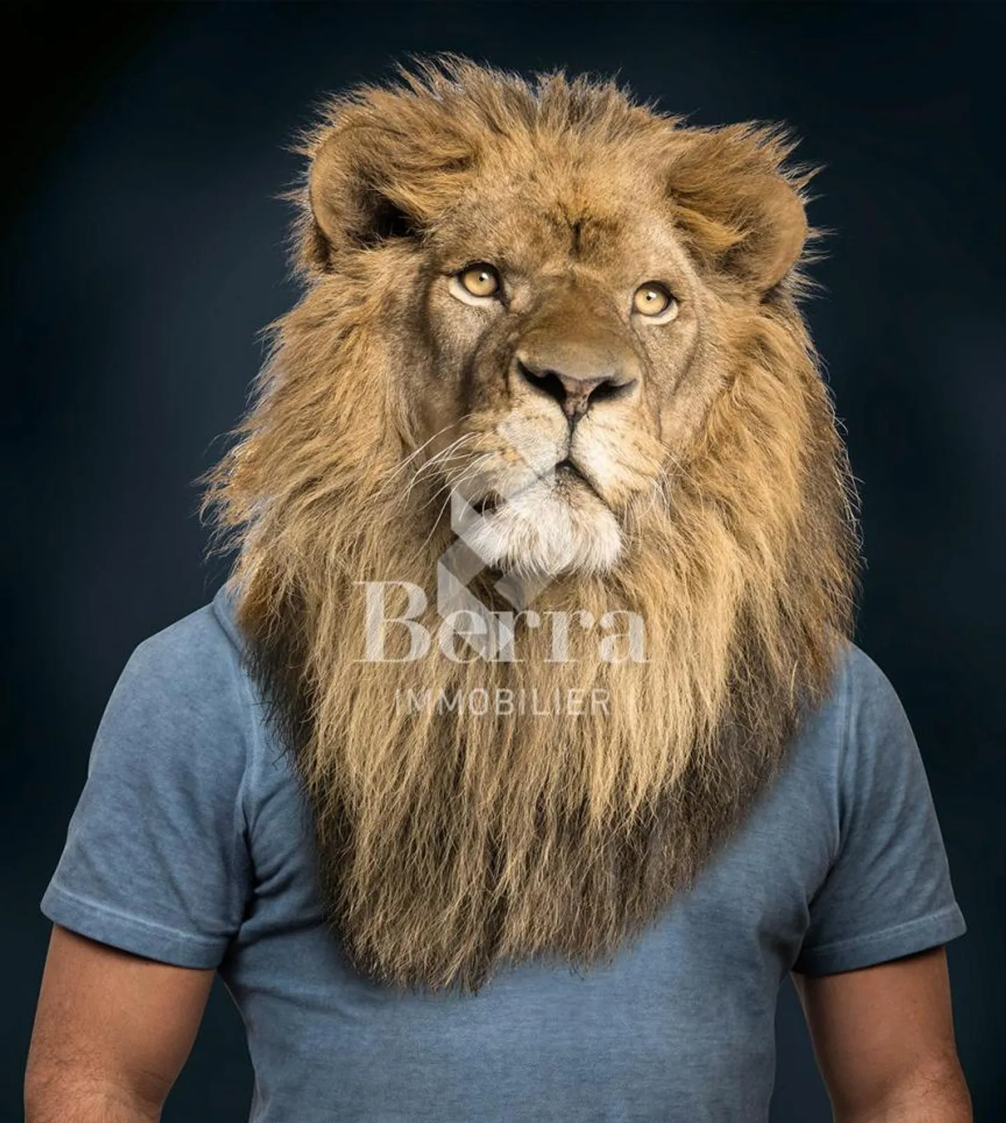 The Castle at Your Feet: Authenticity and Charm, Construction Site in Progress - Photo 13 of 13