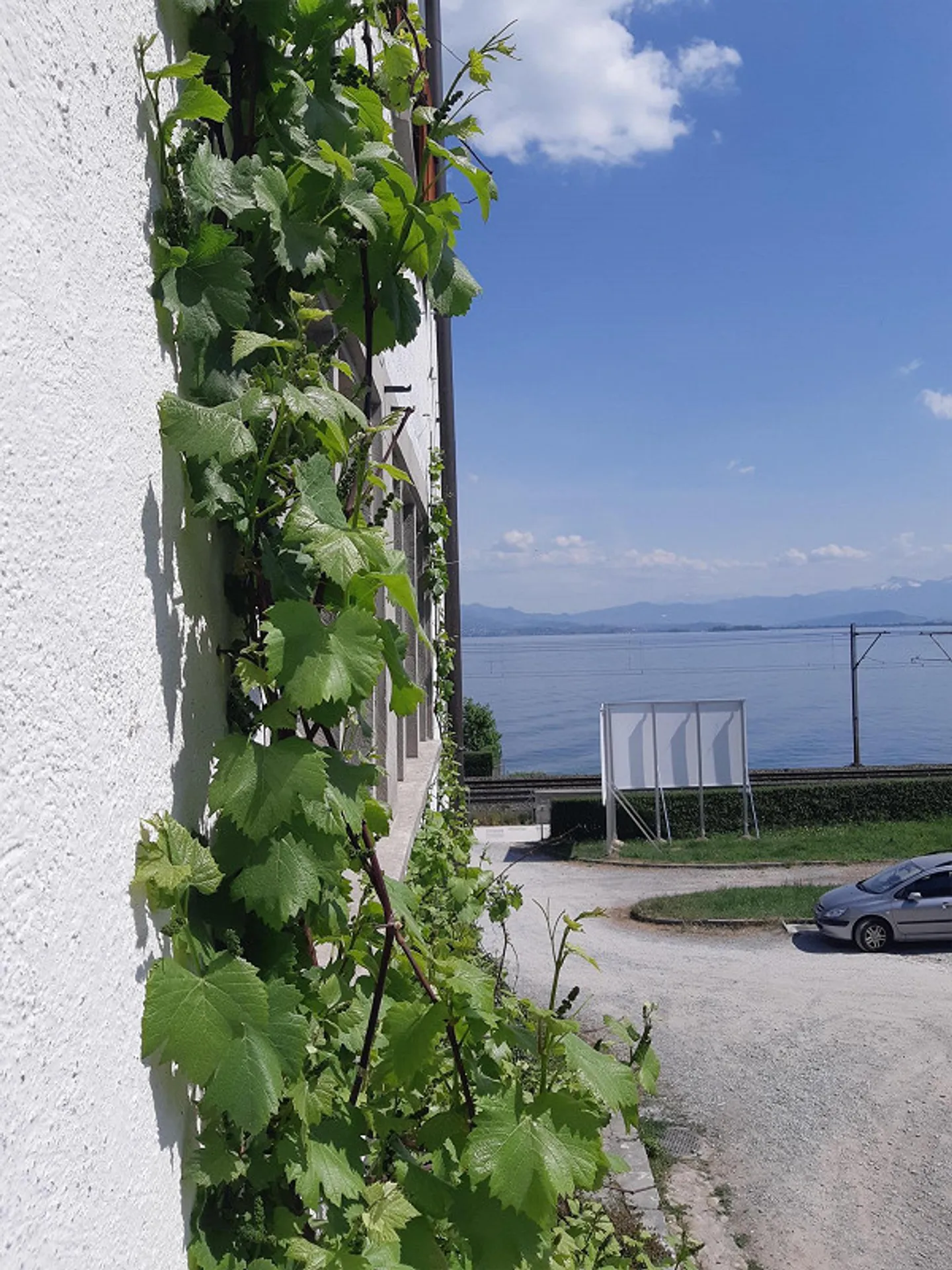 Wohngemeinschaft im Herrenhaus - Zimmer frei - Foto 4 von 6