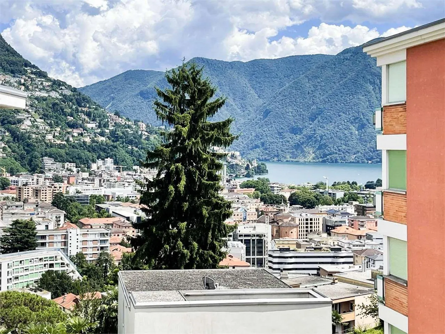 Appartamento in affitto - Foto 3 di 13